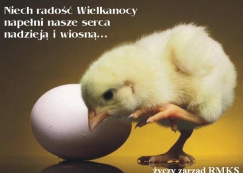 Wesołych Świąt Wielkanocnych