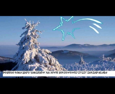 Dosiego roku 2009