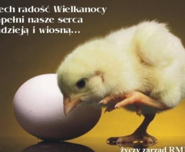 Wesołych Świąt Wielkanocnych