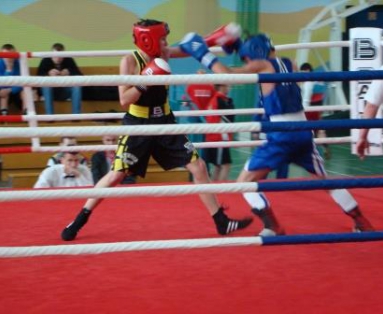 Wieści z bokserskich ringów - maj