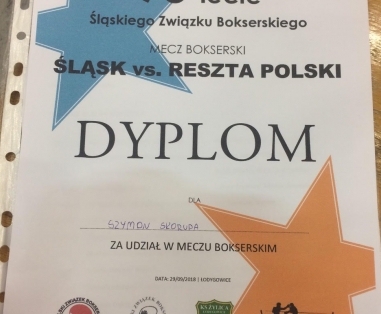 95 lecie Śląskiego Związku Bokserskiego